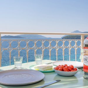 blue-lefkada-luxury-apartments-feta-tomatoes-ouzo copy